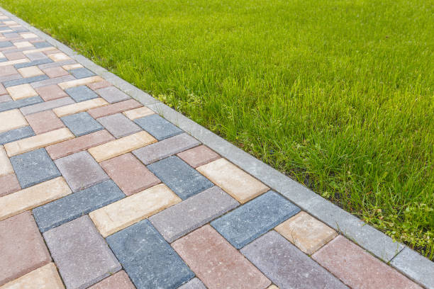 Best Concrete Paver Driveway  in Rainbow Lakes Estates, FL